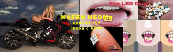твердый Ростов