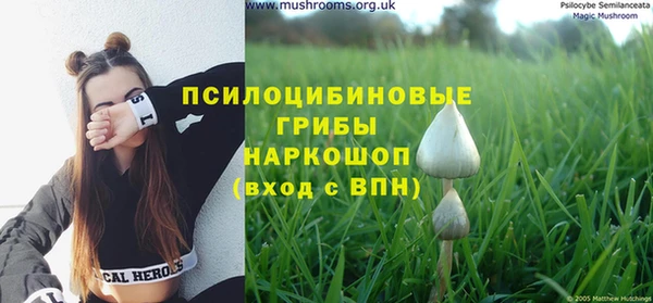 тгк Абдулино