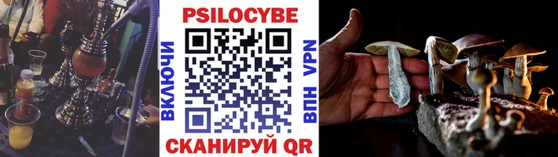 где найти   Иланский  блэк спрут зеркало  Галлюциногенные грибы Cubensis 