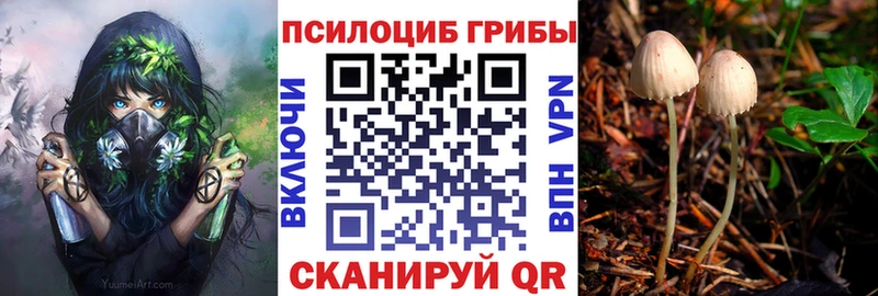 Псилоцибиновые грибы мицелий Иланский